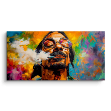 Snoop Dogg Inspired Colorful Portrait PVC Matt Art