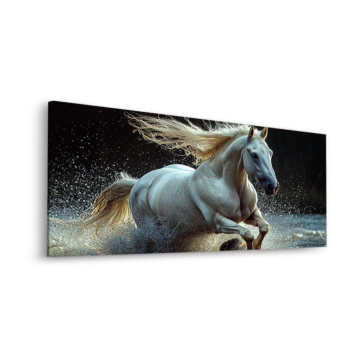 Weißes Pferd Galloping Through Wate - Dibond-Bild matt
