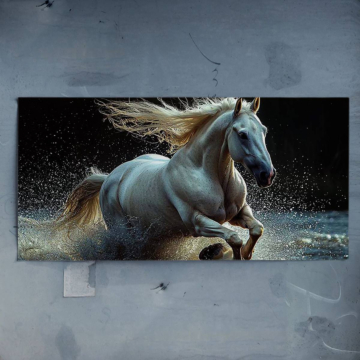 Weißes Pferd Galloping Through Wate - Poster