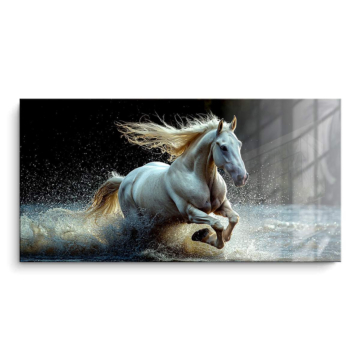 Cheval blanc galopant dans l’eau - tableau PVC brillant