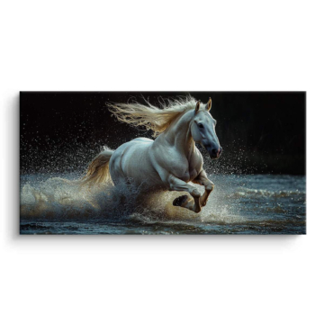 Weißes Pferd Galloping Through Wate - Leinwandbild