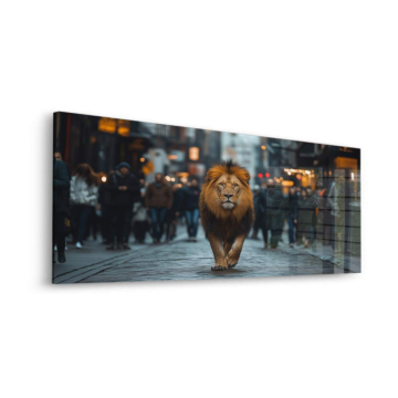 Löwe auf einer Stadtstraße - Acrylglasbild