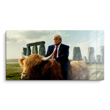 Vaca Highland inspirada en Donald Trump - cuadro PVC brillante