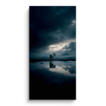 Storm Lake Reflection Canvas Art