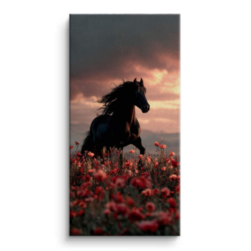 Black Horse Poppy Field Canvas Art