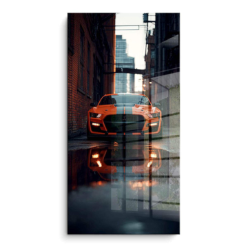 Shelby GT500 ciudad piloto - cuadro PVC brillante