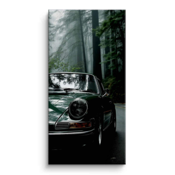 Porsche 911 Forest Drive Canvas Art