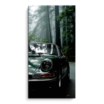 Ruta Porsche 911 bosque - cuadro PVC mate