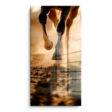 Galloping caballo Hooves - cuadro PVC brillante