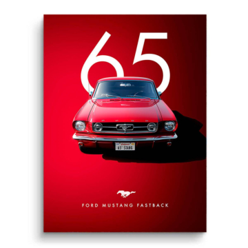 1965 Ford Mustang Fastback PVC Matt Art