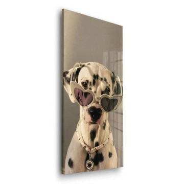 Dalmatinerhund mit Sonnenbrille - Acrylglasbild