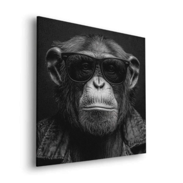 Chimpanzee Sunglasses Portrait Dibond Matt Art