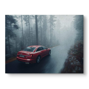 Audi A8 Misty Forest Canvas Art