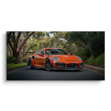 Porsche 911 Speedster Road Canvas Art