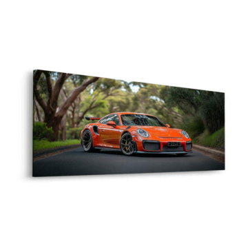 Porsche 911 Speedster sur route - tableau Dibond mat