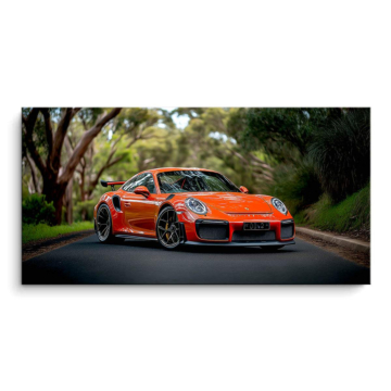 Porsche 911 Speedster en carretera - cuadro PVC mate
