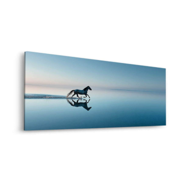Laufendes Pferd mit Spiegelung - Dibond-Bild matt