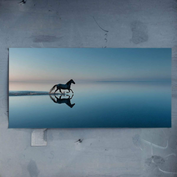 Laufendes Pferd mit Spiegelung - Poster