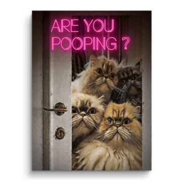 Cats Bathroom Humor Canvas Art