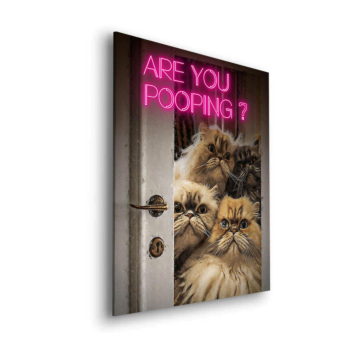 Cats Bathroom Humor Dibond Matt Art