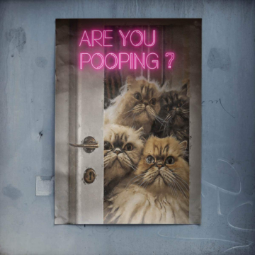 Cats Bathroom Humor Poster Art