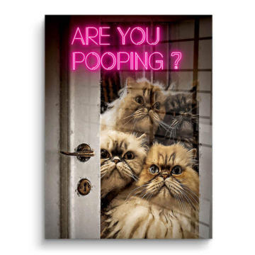 Cats Bathroom Humor PVC Gloss Art