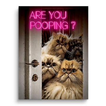 Cats Bathroom Humor PVC Matt Art