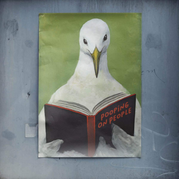Seagull Reading Book Poster Art
