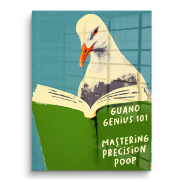 Seagull Genius Book PVC Gloss Art