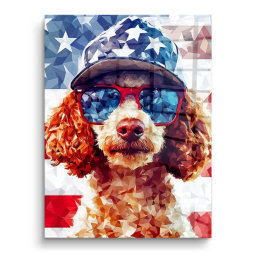 Pudel mit amerikanischer Flagge - PVC-Bild glänzend