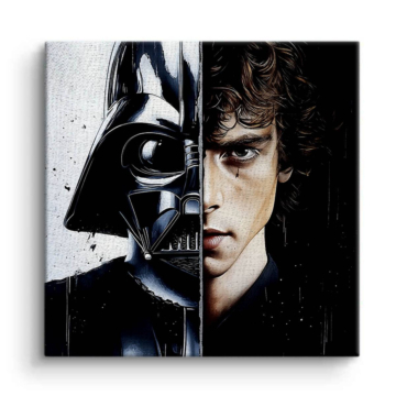 Darth Vader Inspired Split Portrait Canvas Art