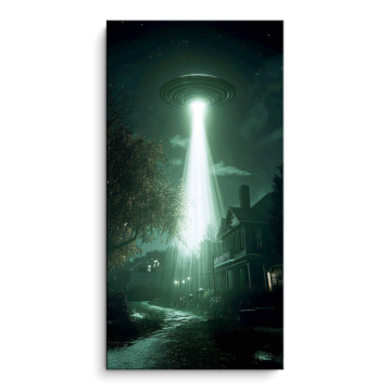 OVNI rayon rencontre - tableau PVC mat