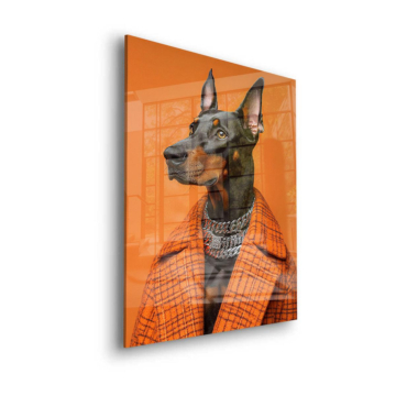 Dobermann im orangefarbenen Anzug - Acrylglasbild