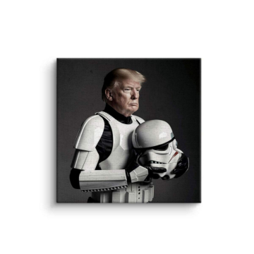 Trump Stormtrooper Inspired Portrait Canvas Art