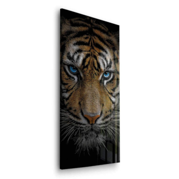 Tiger mit blauen Augen - Acrylglasbild