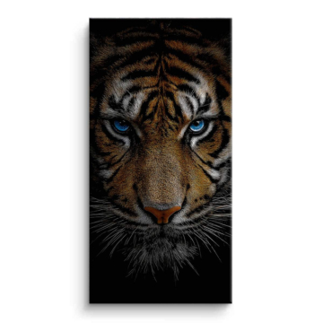 Tiger mit blauen Augen - Leinwandbild