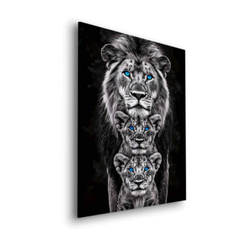 Blue Eyed Lion Trio Dibond Matt Art