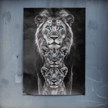 Löwentrio mit blauen Augen - Poster