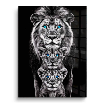 Löwentrio mit blauen Augen - PVC-Bild glänzend