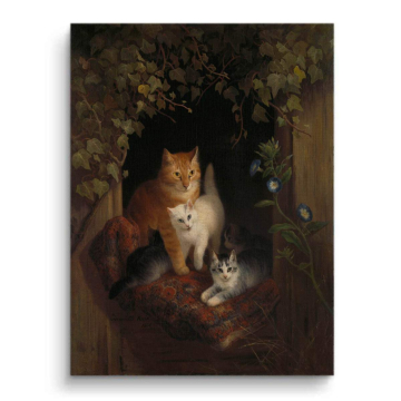 Klassisch Cats Morning Licht - Leinwandbild