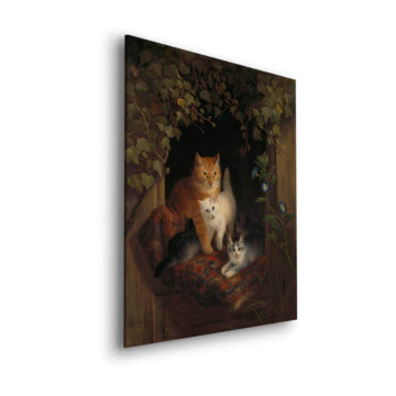 Klassisch Cats Morning Licht - Dibond-Bild matt