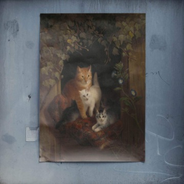 Klassisch Cats Morning Licht - Poster