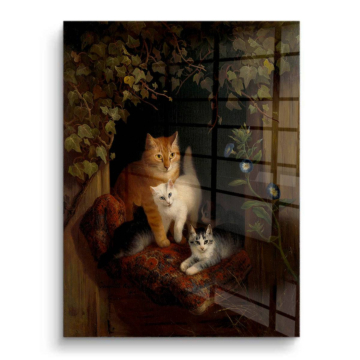 Gatos clásicos con luz de mañana - cuadro PVC brillante