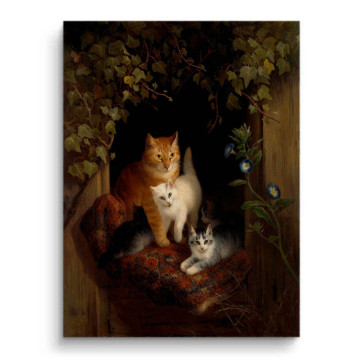 Klassisch Cats Morning Licht - PVC-Bild matt