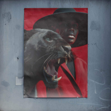 Dark Panther Majesty Poster Art