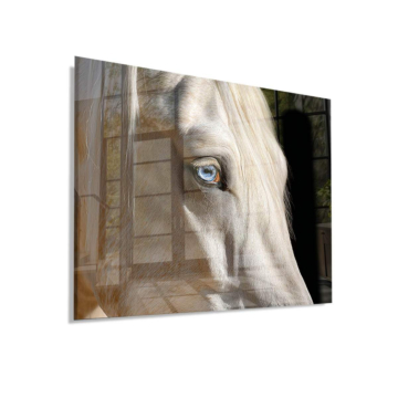 Caballo azul eyed blanco - cuadro en vidrio acrílico