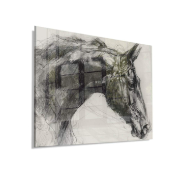 Retrato charcoal caballo - cuadro en vidrio acrílico