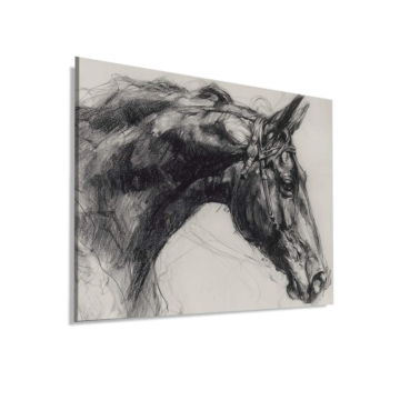 Retrato charcoal caballo - cuadro Dibond mate