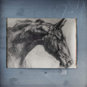 Portrait de cheval au fusain - poster
