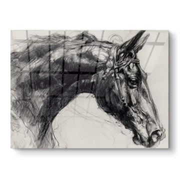 Charcoal Pferdeporträt - PVC-Bild glänzend